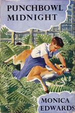 Punchbowl Midnight - Book Cover