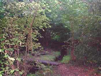 One of the small footbridges around the Pond