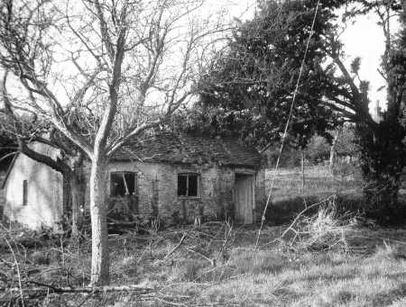 The Swealed Cat c1950