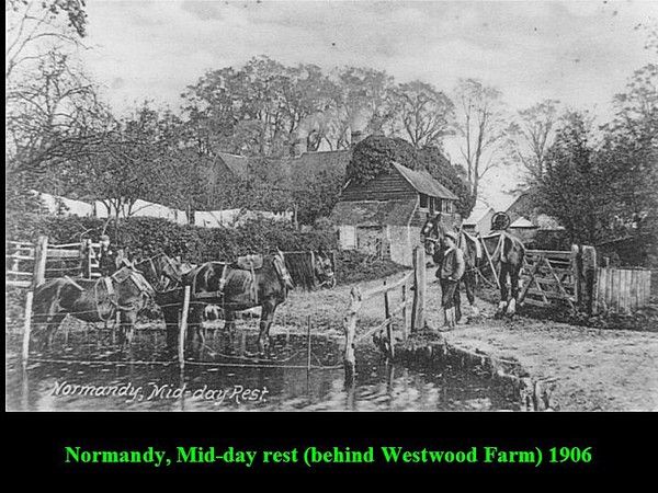 Click to see Next Slide