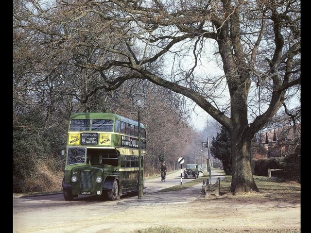 Click to see Next Slide